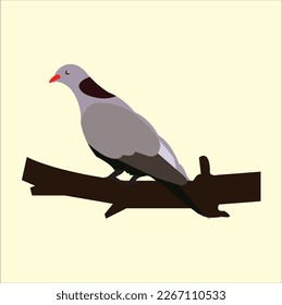 A beautiful pigeon is sitting on a tree branch VECTOR ARTWORK