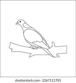 A beautiful pigeon is sitting on a tree branch LINE ART