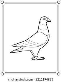 Beautiful pigeon suitable for children's coloring page vector illustration