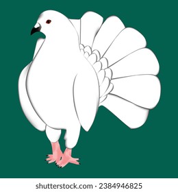 diseño de vector de pichón hermoso en fondo blanco