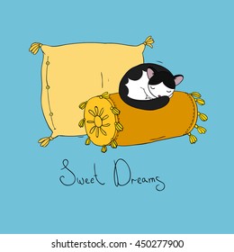 Beautiful pillows and cute cat on a blue background. Hand drawn vector.