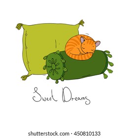 Beautiful pillows and cute cat on a white background. Hand drawn vector.