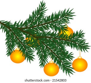 beautiful pine branch