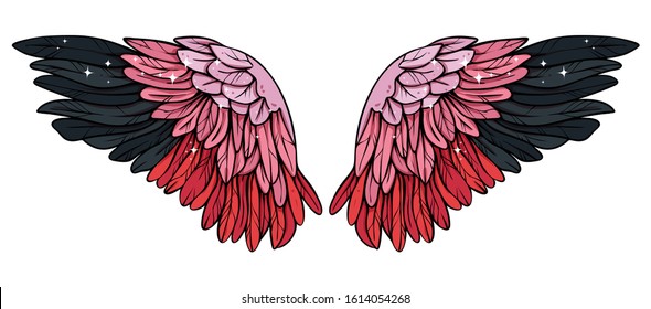 Beautiful pink black flamingo wings, vector