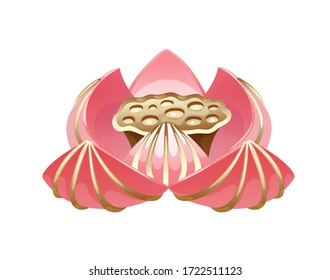 Beautiful pink bloom of lotus with golden lines on petals. Vector illustration in cartoon style on white background