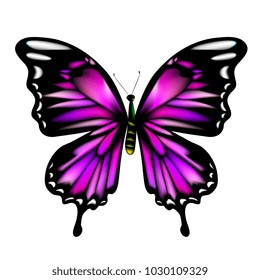 beautiful pink butterflies, isolated  on a white