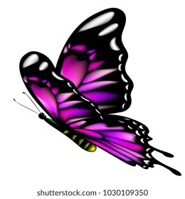 beautiful pink butterflies, isolated  on a white