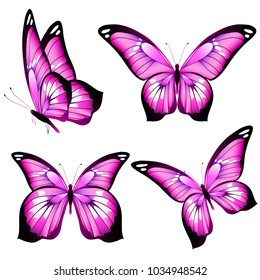 beautiful pink butterflies, isolated  on a white