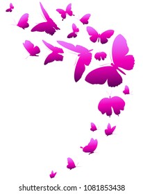 beautiful pink butterflies, isolated  on a white