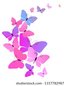 beautiful pink butterflies, isolated  on a white