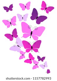 beautiful pink butterflies, isolated  on a white
