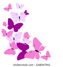 beautiful pink butterflies, isolated  on a white