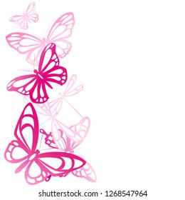 beautiful pink butterflies, isolated  on a white