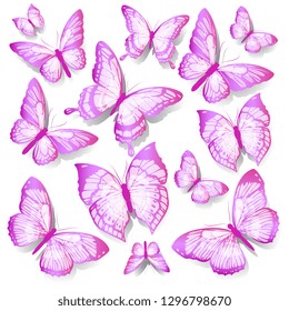 beautiful pink butterflies, isolated  on a white