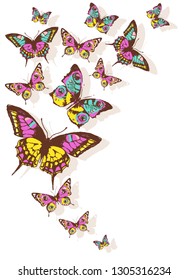 beautiful pink butterflies, isolated  on a white