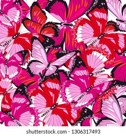 beautiful pink butterflies, isolated  on a white