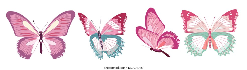 beautiful pink butterflies, isolated  on a white