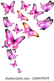 beautiful pink butterflies, isolated  on a white