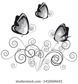 beautiful pink butterflies, isolated  on a white