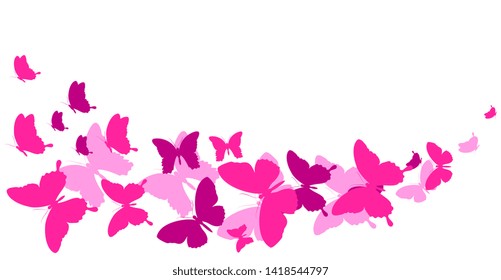 beautiful pink butterflies, isolated  on a white