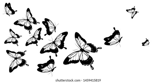 beautiful pink butterflies, isolated  on a white