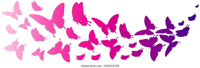 beautiful pink butterflies, isolated  on a white