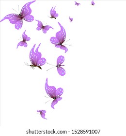 beautiful pink butterflies, isolated on a white 