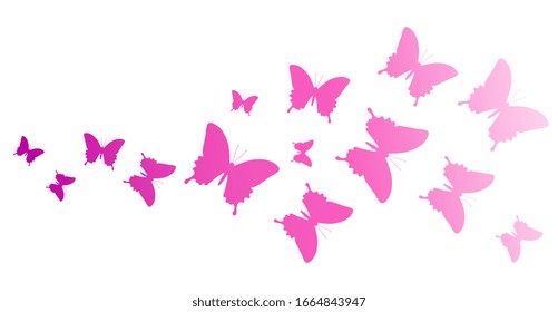 beautiful pink butterflies, isolated  on a white