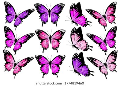 beautiful pink butterflies, isolated  on a white