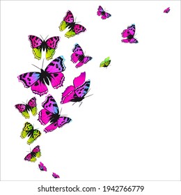 beautiful pink butterflies, isolated  on a white