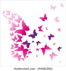 beautiful pink butterflies, isolated  on a white