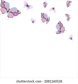 beautiful pink butterflies, isolated on a white background