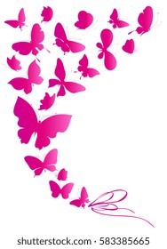 beautiful pink butterflies, isolated  on a white