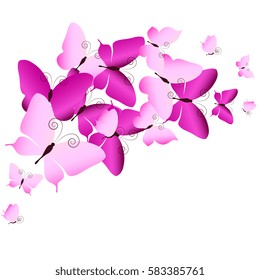 beautiful pink butterflies, isolated  on a white