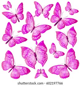 beautiful pink  butterflies, isolated  on a white