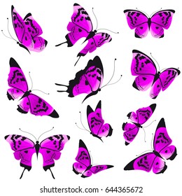 beautiful pink butterflies, isolated  on a white