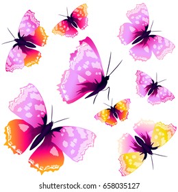 beautiful pink butterflies, isolated  on a white