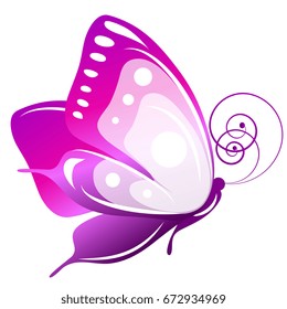 beautiful pink butterflies, isolated  on a white