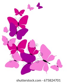 beautiful pink butterflies, isolated  on a white