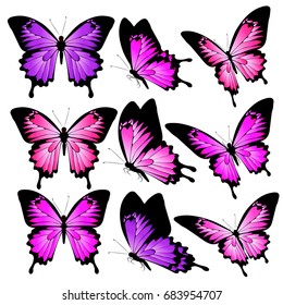 beautiful pink butterflies, isolated  on a white