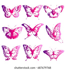 beautiful pink butterflies, isolated  on a white