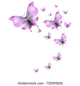 beautiful pink butterflies, isolated on a white 