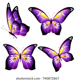 beautiful pink butterflies, isolated  on a white