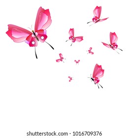 beautiful pink butterflies,isolated on a white 