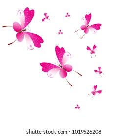 beautiful pink butterflies,isolated on a white 