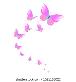 beautiful pink butterflies,isolated on a white 