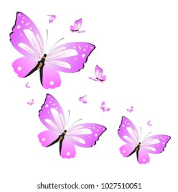 beautiful pink butterflies,isolated on a white 