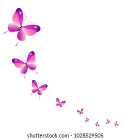 beautiful pink butterflies,isolated on a white 