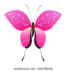 beautiful pink butterflies,isolated on a white 