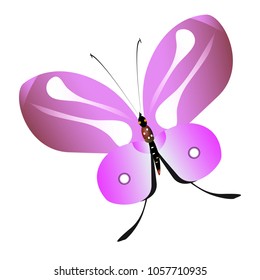 beautiful pink butterflies,isolated on a white 